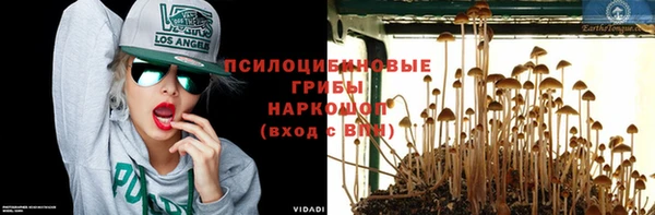 марки nbome Алзамай