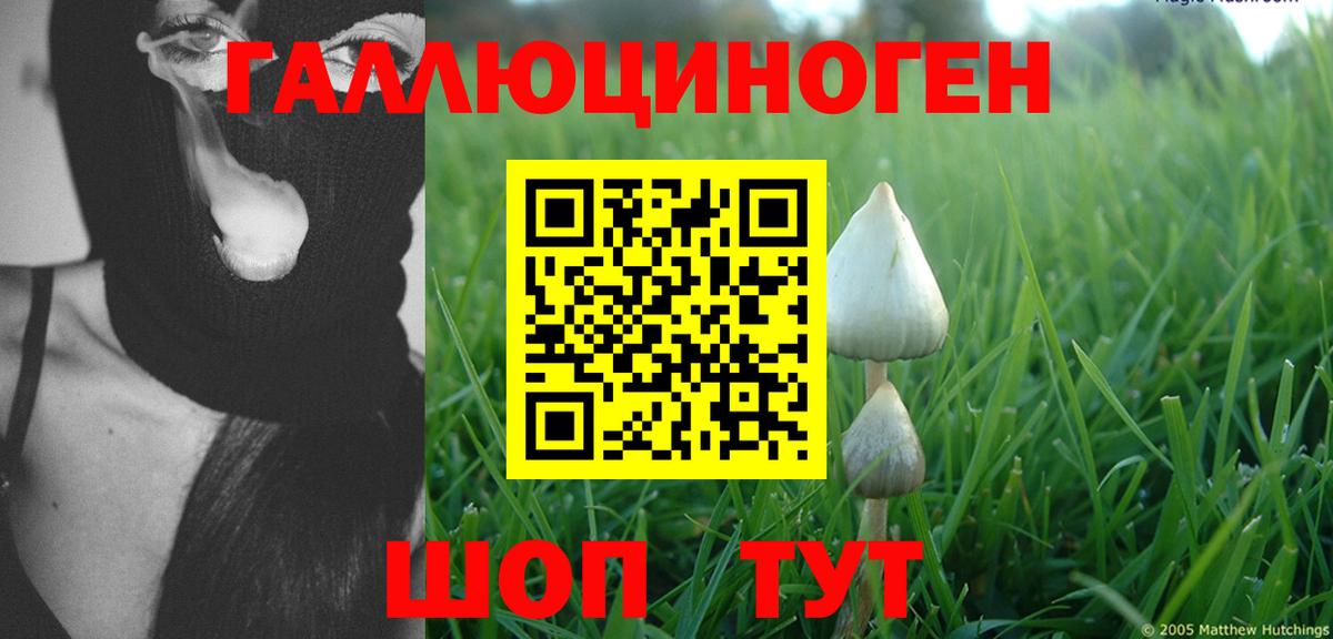 Галлюциногенные грибы мухоморы Гуково