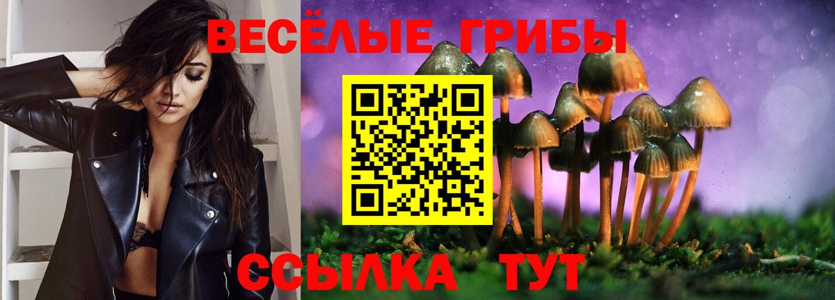 Гуково  что такое наркотик  Вход с VPN  Галлюциногенные грибы MAGIC MUSHROOMS 